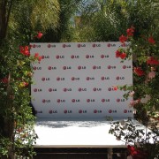 TRIO printed LG step & repeat