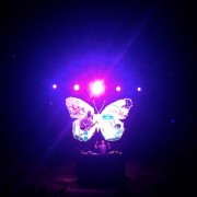 TRIO hand-painted butterfly backdrop on tour with Kaskade
