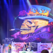 Poison on stage with TRIO hand-painted backdrop