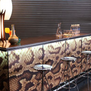 TRIO hand-crafted bar skinned in printed snake skin - The Voice, Season 3